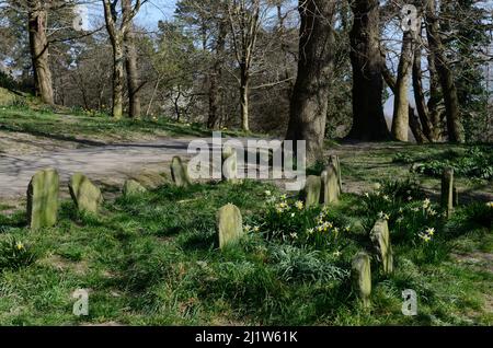 Cane cimitero cemeteryClyne Gardens Swansea Galles UK Foto Stock