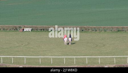 Curre e Llangibby puntano a Howick, vicino a Chepstow, Galles del Sud Foto Stock