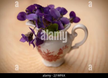 Mini bouquet di viola odorata (viola dolce) in un mini vaso isolato su sfondo di legno Foto Stock