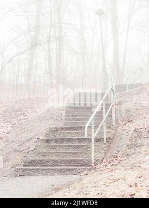 Scala in foresta di nebbia, Svezia Foto Stock