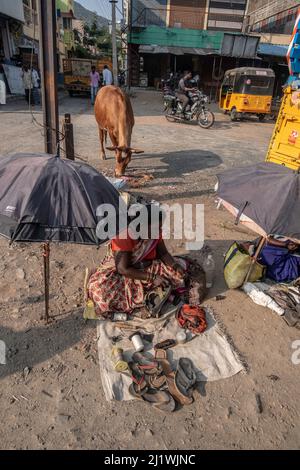 Seamstress fissa e vende abiti usati al mercato di Tiruvannamalai, Tamil Nadu, India Foto Stock