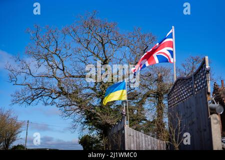 Le bandiere ucraine e Union Jack volano fianco a fianco nella solidarietà e nel sostegno alla crisi in corso in Ucraina Foto Stock