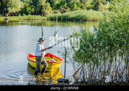 Novi Sad, Serbia - Maggio 05. 2021: Attività ricreative, tradizionali, sportive, pesca in una giornata di sole, sulle acque del affluente del Danubio vicino Novi Sad, Serbi Foto Stock