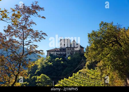 Thurnstein è un castello medievale circondato dai vigneti del tipico "vino Napoleone". Tirolo, provincia di Bolzano, Trentino Alto Adige, Italia. Foto Stock