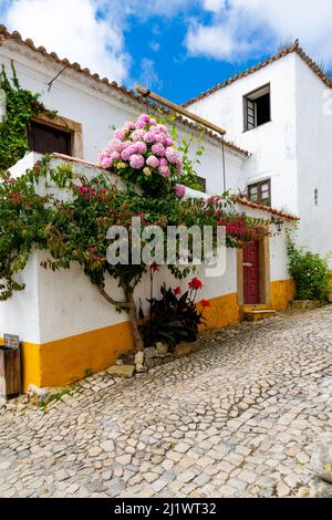 Óbidos casa tradizionale con facciata gialla e bianca e fiori Foto Stock