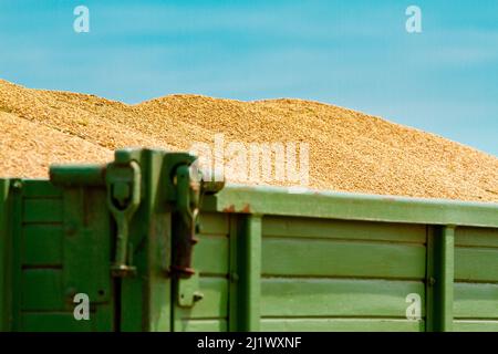 Rimorchio agricolo , riempito con cereali appena raccolti, grano che Farming in paesi in guerra. Carenza e fame in tutto il mondo Foto Stock