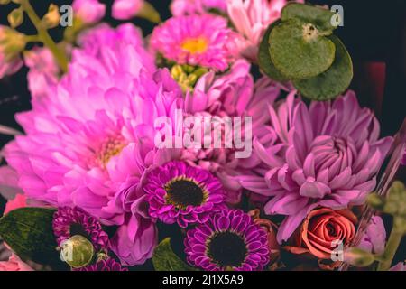 Fiori viola e rosa raggruppati insieme Foto Stock