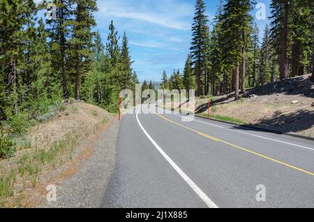 Tratto vuoto di una tortuosa strada di montagna attraverso una pineta in una giornata estiva soleggiata Foto Stock