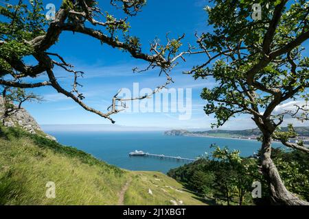 Il molo di Llandudno visto dal Great Ormes si dirige vicino alla Happy Valley sulla costa del Galles del Nord Foto Stock