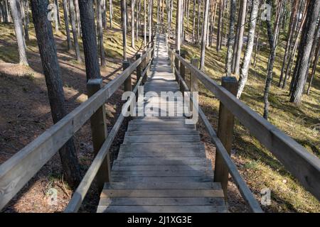 Scale in legno che conducono alla roccia di Sietiniezis nella foresta del Parco Nazionale di Gauja, Lettonia. Foto Stock