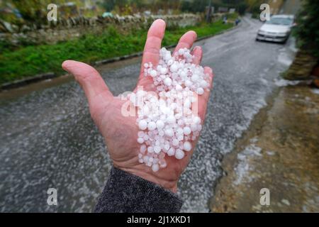 Una mano di uomo che tiene grandi pietre di grandine dopo una violenta tempesta a Cirencester. Foto Stock