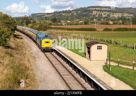 Locomotiva diesel elettrica sulla ferrovia a vapore di Gloucestershire Warwickshire passando Hayles Abbey fermata vicino al villaggio Cotswold di Hailes, Glos. REGNO UNITO Foto Stock