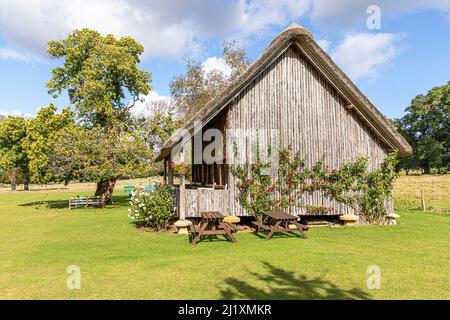 Rose che crescono sul padiglione in legno, paglia di cricket sollevato su pietre a sella nel villaggio Cotswold di Stanway, Gloucestershire, Inghilterra Regno Unito Foto Stock