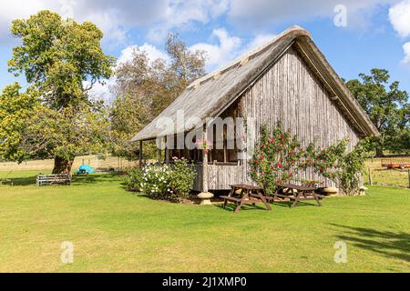 Rose che crescono sul padiglione in legno, paglia di cricket sollevato su pietre a sella nel villaggio Cotswold di Stanway, Gloucestershire, Inghilterra Regno Unito Foto Stock