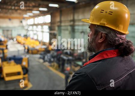 Vista posteriore del caposquadra in hardhat che guarda il processo in fabbrica dal piano superiore Foto Stock
