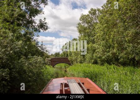 Oxford Canal vicino a Lower Heyford, Oxfordshire, Regno Unito Foto Stock