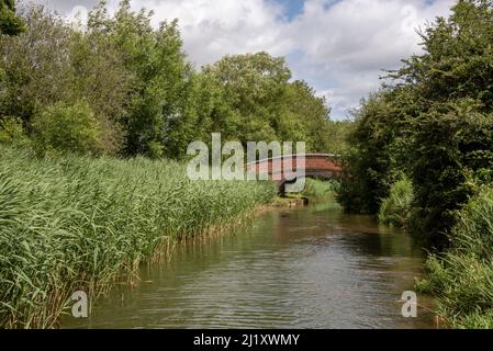 Oxford Canal vicino a Lower Heyford, Oxfordshire, Regno Unito Foto Stock