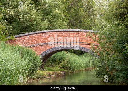 Oxford Canal vicino a Lower Heyford, Oxfordshire, Regno Unito Foto Stock