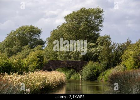 Oxford Canal vicino a Lower Heyford, Oxfordshire, Regno Unito Foto Stock