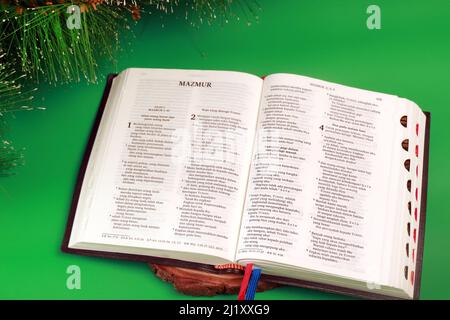 Studio foto indoor della Bibbia Lingua Indonesiana Alkitab Open Version on the wood Green background Foto Stock