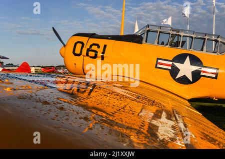 Nord America SNJ-5 Texan G-CHIA, T-6 Harvard in inglese, seconda guerra mondiale aereo di addestramento al Goodwood Revival, Regno Unito. Schema colore giallo della Marina degli Stati Uniti Foto Stock