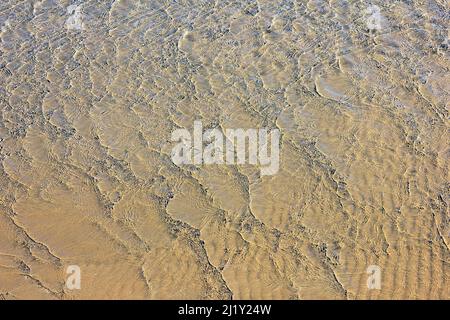 Piccole onde lucenti vicino al mare. Foto Stock