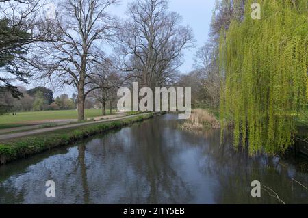 Canale di alimentazione della banchina di Bute a Bute Park, Cardiff Foto Stock