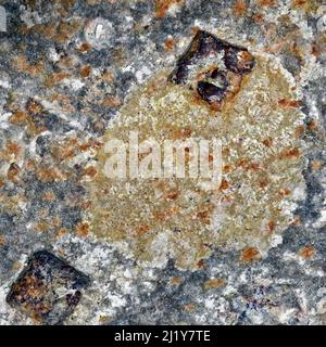 Wabi-Sabi una cultura Japenese delle nature il passaggio del tempo che mostra la bellezza dell'arte di imperfezione e impermamence, questa immagine è arrugginito e metallo Foto Stock