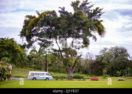 Una vista di autobus blu e bianco guida su strada circondata da alberi in Costa Rica Foto Stock