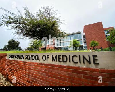 La David Geffen School of Medicine (DGSOM) all'Università della California, Los Angeles (UCLA) Foto Stock