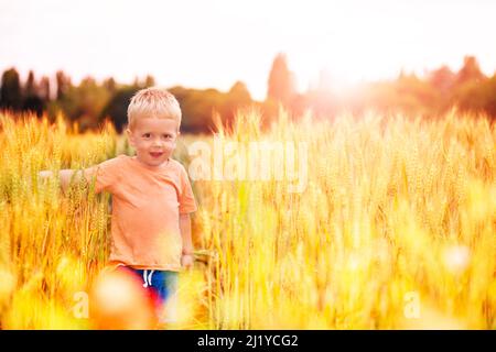 Il bambino biondo carino cammina nel campo di grano Foto Stock