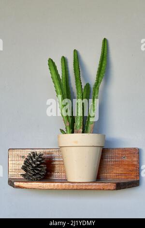 cactus órgano pianta in pentola bianca accanto ad un ornamento di ananas su scaffale di legno appeso alla parete. Pachycereus marginatus. Decoratio verticale e minimalista Foto Stock