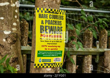 ELSTREE, LONDRA, INGHILTERRA- 17 ottobre 2021: Poster 'Hare courser and poachers attenzione' nella campagna di Elstree, Inghilterra Foto Stock