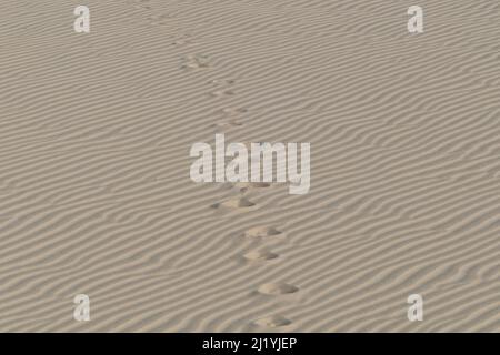 Impronte nella sabbia. Vista panoramica del tramonto sulle dune di sabbia a Lencois Maranhenses, Brasile Foto Stock