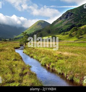 Vista al Nab è caduto lungo Howegrain Beck Lake District National Park Martindale Cumbria Inghilterra UK Foto Stock