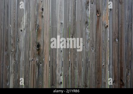 Tessitura di legno. L'immagine può essere utilizzata come sfondo Foto Stock