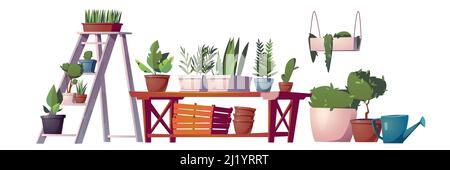 Piante di serra, orangery o roba interna del deposito floristico, rastrelliera del giardino con fiori in vaso, tavolo di legno, scatole e mensola appesa, annaffiatura può un Illustrazione Vettoriale