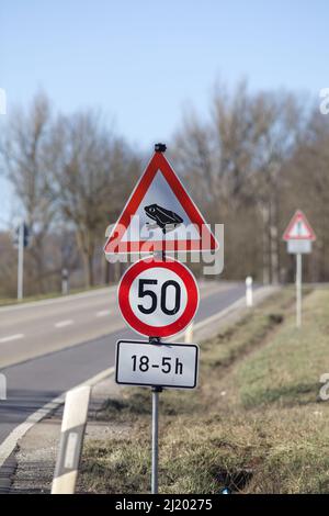 cartello di avvertimento migrazione toad su strada tedesca Foto Stock