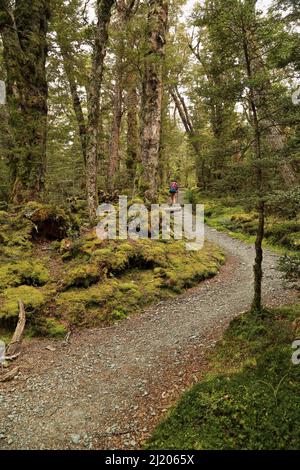 Kepler Track Fiordland Nuova Zelanda Foto Stock