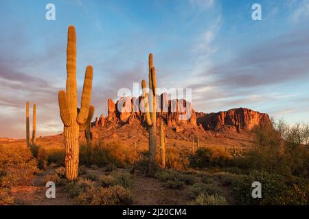 Paesaggio panoramico del deserto di sonora nelle Superstition Mountains al Lost Dutchman state Park, Arizona Foto Stock