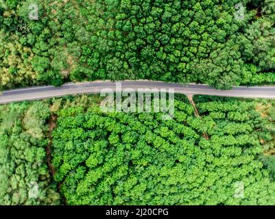 Vista aerea di una strada asfaltata nel mezzo del verde tropicale paesaggio naturale foresta Foto Stock