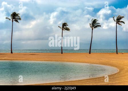 Laguna sulla spiaggia di Waikiki a Honolulu, Hawaii Foto Stock
