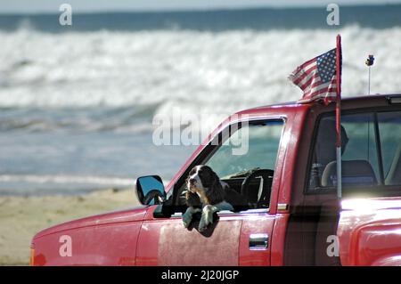 Cane seduto in pick-up furgone a Pismo Beach (non sono ammessi cani persi) con proprietario e bandiera americana in giornata di sole sulla costa del Pacifico Foto Stock