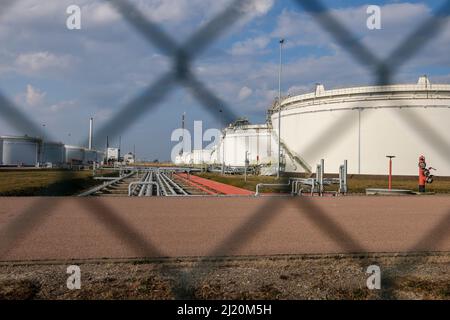 Leuna, Germania. 28th Mar 2022. Dietro un'azienda agricola, la cosiddetta svasatura della raffineria Total si innalza nell'aria. Attualmente, le imprese del sito chimico di Leuna non prevedono di cessare la produzione in vista della guerra in Ucraina. Tuttavia, il gruppo Total prevede di operare in futuro senza petrolio russo. Attualmente la raffineria Leuna elabora dodici milioni di tonnellate di petrolio greggio dalla Russia all'anno per produrre combustibili come benzina e diesel, nonché prodotti chimici di base come il metanolo. Credit: Jan Woitas/dpa-Zentralbild/dpa/Alamy Live News Foto Stock