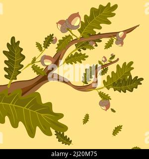 Rami di quercia con foglie verdi e ghiande set di clipart Illustrazione Vettoriale