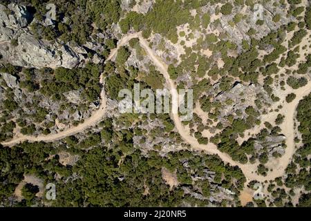 Foresta di kanuka rimanente e Aurora Track, Bendigo Ghost Town, Central Otago, South Island, Nuova Zelanda - antenna drone Foto Stock