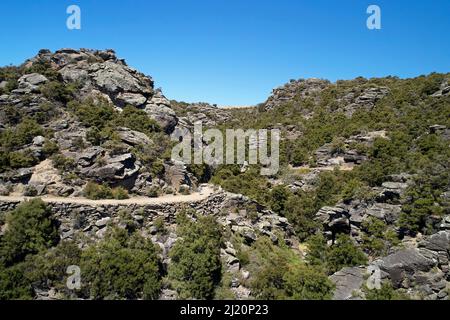 Foresta di kanuka rimanente e Aurora Track, Bendigo Ghost Town, Central Otago, South Island, Nuova Zelanda - antenna drone Foto Stock