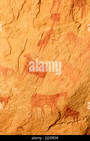 Antiche pitture rupestri nel deserto del Sahara che mostrano bestiame, Ennedi Riserva Naturale e Culturale, Patrimonio Mondiale dell'UNESCO, Ciad. Settembre 2019. Foto Stock