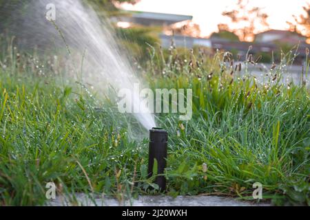 meccanismo di irrigazione giardino. Irrigatore primo piano. Sprinkler a fuoco selettivo Foto Stock