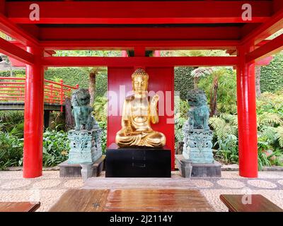 Una statua dorata di Buddha sotto un padiglione di legno rosso situato in Foto Stock